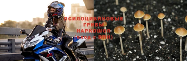прущие крисы Медвежьегорск
