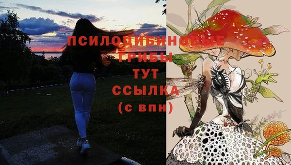 тгк Мегион