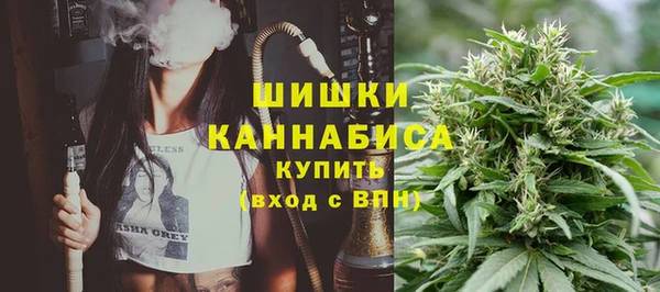 прущие крисы Медвежьегорск