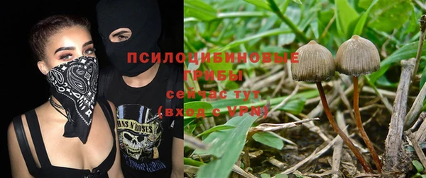 прущая мука Медногорск